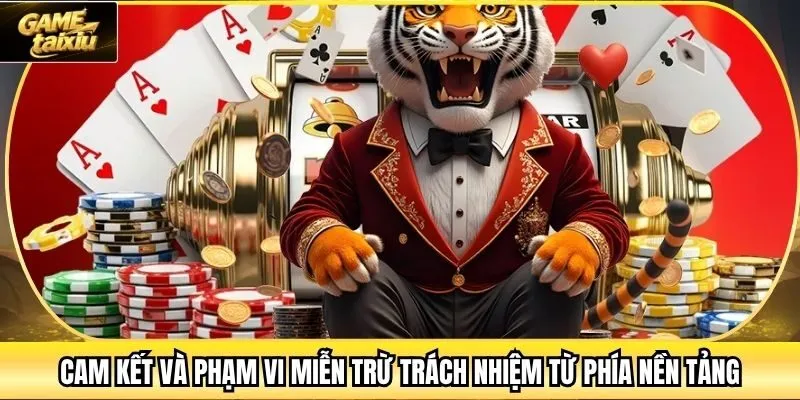 Cam kết và phạm vi miễn trừ trách nhiệm từ phía nền tảng