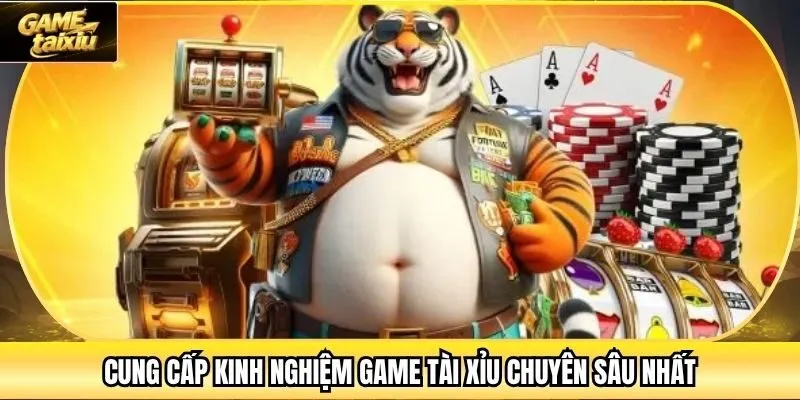 Cung cấp kinh nghiệm game tài xỉu chuyên sâu nhất