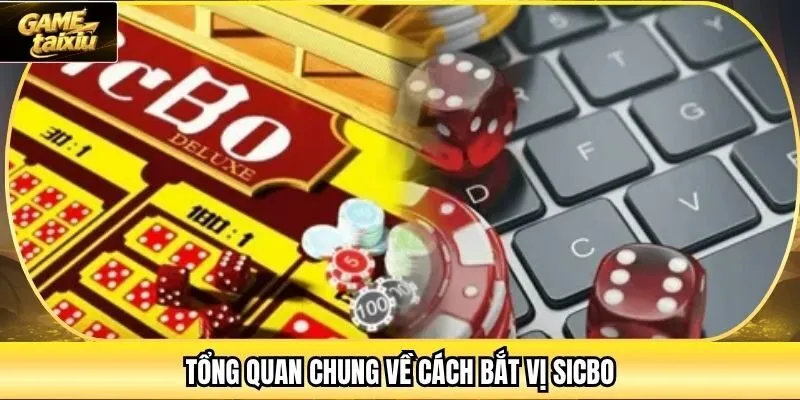 Tổng quan chung về cách bắt vị sicbo